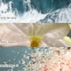 thumbnail image 2 of Vela aromática Illume Beautifully Done Fresh Sea Salt 20h, 2 of 9