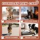thumbnail image 2 of Calcetines antideslizantes para perros Bixie – Pack de 6 (XS), 2 of 6