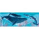 thumbnail image 2 of MAR ANIMAL, 2 of 8