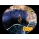 thumbnail image 5 of Videojuego ACTIVISION Madagascar 2: Escape 2 Africa para PS3, 5 of 6