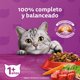 thumbnail image 5 of WHISKAS CARNE 1K + 2 SOBRES, 5 of 9