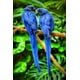 thumbnail image 1 of zxczxc, 1 of 2