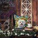 thumbnail image 5 of Cojín Sunflowers Coton De Tulear, 5 of 6