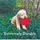 thumbnail image 5 of Disco volador Soft Catch Funsparks Easy Disk rojo pequeño, 5 of 6