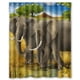 thumbnail image 1 of Cortina de ducha de elefante africano, juego de cortina de baño con ganchos, tamaño 36 x 72 pulgadas, 1 of 3