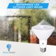 thumbnail image 4 of Bombillas LED Bluex PAR30, 12 W, 900 lm, 3000 K, paquete de 2, 4 of 6