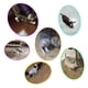 thumbnail image 3 of Juguetes para gatos, juguetes eléctricos para gatos, juguetes para ratones, juguetes automáticos para gatos, juguetes de agilidad para gatos., 3 of 8