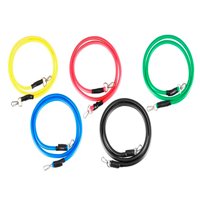 Genérico - Kit 5 Bandas Elásticas Deportivas De Resistencia