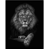 Genérico - Cuadro Decorativo Leon Blanco Y Negro Medidas 30X40 Cm