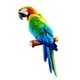 thumbnail image 1 of Figuritas De Loros Artificiales, Estatua De Animales Para Bodas, Adornos Al Aire Libre, Estilo C, 1 of 5