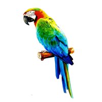 Bothyi - Figuritas De Loros Artificiales, Estatua De Animales Para Bodas, Adornos Al Aire Libre, Estilo C