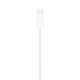 thumbnail image 2 of Cable Apple Watch, 2 of 3