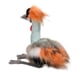 thumbnail image 3 of Peluche Douglas Nia, grulla con corona africana, 33 cm, 3 of 8
