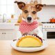 thumbnail image 5 of Juguete para perro PrimePets Taco de peluche chirriante, 5 of 7