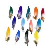 Bothyi - Plumas De Sombrero Para Sombreros Fedora Novedad Para Fiesta Sombrero De Vaquero Occidental Clip Pequeño Cantidad 13