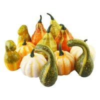 Magideal - Calabazas Artificiales Simulación Calabazas De Espuma Realistas Decoración De Bricolaje Para Acción De Gracias, Cosecha De Otoño De Halloween Mesa De 12 Piezas Multicolor