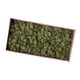 thumbnail image 3 of Musgo de reno secado natural tratado musgo inmortal Manualidades DIY Floral Decoración Verde, 3 of 3
