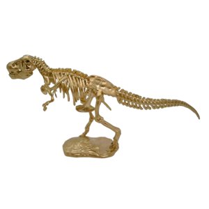 Bothyi - Estatua De Esqueleto De Tyrannosaurus Rex, Regalo Artístico Para Estantería, Gabinete, Sala De Estar