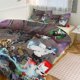 thumbnail image 2 of Castle Crashers Duvet Cover Set 3 Piece Bedding Set Double Sided Printing Decorative Comforter Cover Set, 2 of 5