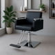thumbnail image 2 of Silla Sillon Barberia Estetica Hidraulico De Respaldo Fijo, 2 of 6