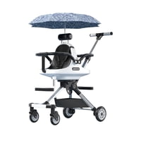 Coche Doble Con Sombrilla Azul By Lubabycas