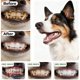 thumbnail image 4 of Polvo Dental Para Perros 2 Paquetes Limpieza De Dientes Y Refrescante De Aliento, 4 of 7