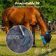 thumbnail image 5 of Máscara antimoscas para caballo SMFUSMFU, talla grande, azul, de malla transpirable, 5 of 6