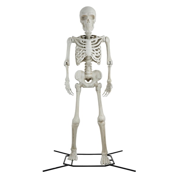 Figura esqueleto 3m con soporte metálico