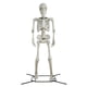 thumbnail image 1 of Figura esqueleto 3m con soporte metálico, 1 of 5