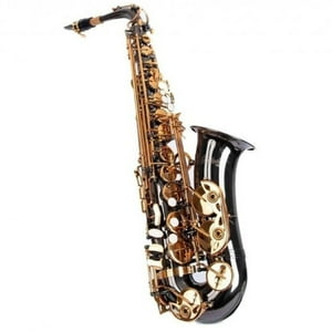 Saxofón Alto Negro Fontaine Ft 6430 Bn