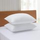 thumbnail image 1 of Almohadas Acanva Estándar Paquete de 2 Insertos Suaves y Transpirables, 1 of 6