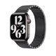 thumbnail image 2 of Correa de reloj Apple Link Bracelet 42 mm Space Black, 2 of 3