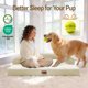 thumbnail image 3 of Cama ortopédica lavable Comfort Expression XL para perros, 3 of 4