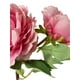 thumbnail image 3 of Peonia Con Boton Rosa 54cm Con Acabado Natural, 3 of 3