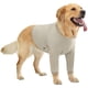 thumbnail image 1 of Manga de recuperación para perro Aimydog con protector de codo, beige, talla M, 1 of 6