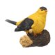 thumbnail image 4 of Modelo De Pájaro Novedoso Para Decoración De Jardín, Juguetes Para Ni?os, Vida Silvestre, Color Amarillo, 4 of 5