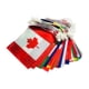 thumbnail image 1 of Conjunto De Pancartas De Banderas De Cuerda Mundial De Poliéster Para Festivales, Decoraciones Para Fiestas, Regalo, 14cm X 21cmX30M, 1 of 5