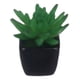 thumbnail image 1 of Set 2 Planta Artificial Decorativa Mini Suculenta Adorno Jhn, 1 of 3