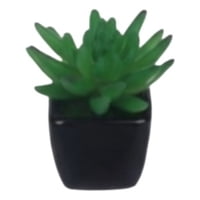 Genérico - Set 2 Planta Artificial Decorativa Mini Suculenta Adorno Jhn