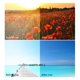 thumbnail image 5 of Gafas de Sol Sinuoda Polarizadas Rectangulares para Hombre, 5 of 7