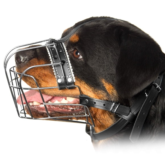Bozal Metálico para Perro Rottweiler PetriStor con Correas Ajustables