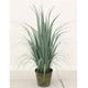thumbnail image 2 of Planta Decorativa Pasto Grueso Gris 91 cm, 2 of 2