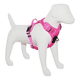 thumbnail image 1 of Arnés deportivo de control para perro mascan m Fucsia, 1 of 3