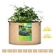 thumbnail image 1 of iPower - Bolsas de cultivo de 20 galones (paquete de 10), macetas de tela no tejida, 1 of 2