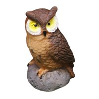 Magideal - Figuritas De Búho En Miniatura, Decoración De Jardín Con Paisaje De Búho, Pájaros En Miniatura De Resina, Mini Búhos Para Maceta, Decoración Artesanal Café