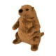 thumbnail image 1 of Peluche Douglas Mr G. Groundhog, 18 cm de alto, 1 of 2