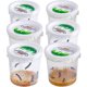 thumbnail image 1 of Recarga de orugas vivas Painted Lady de Nature Gift Store, 1 of 6