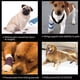 thumbnail image 5 of Rodillera para mascotas, soporte para pies, funda para patas, 5 of 5