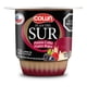 thumbnail image 1 of Flan del Sur Colun Pannacot Frutos Rojos, 100 g, 1 of 3
