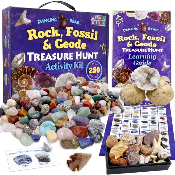 Kit de actividades DANCING BEAR Rock, Mineral & Geodes con 250 unidades